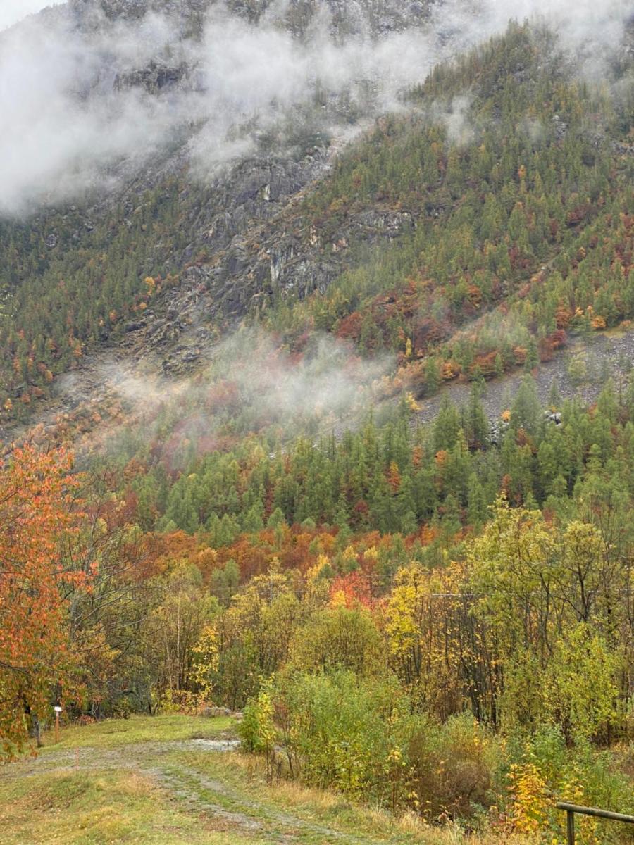 Suitetrails - Il Casias