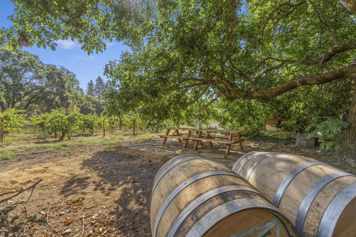 Wine Country Cottage, 2bd 1ba Healdsburg, SPA, Fire pit, WiFi cottage - Housity