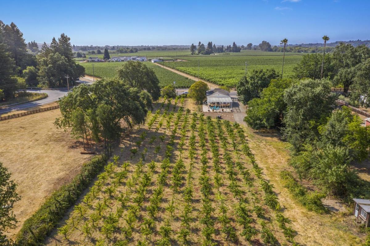 Wine Country Cottage, 2bd 1ba Healdsburg, SPA, Fire pit, WiFi cottage - Housity