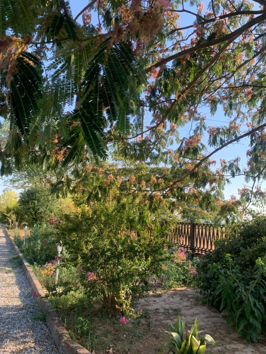 Villa Luigia - Housity