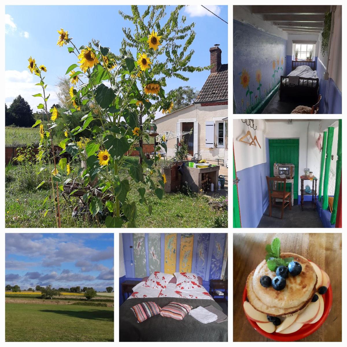 Notrevillage La salamandre - Housity