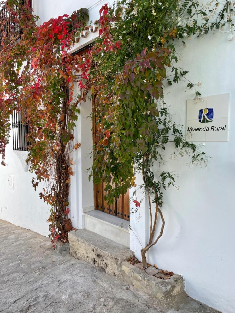 Apartamento El Jazmín - Housity