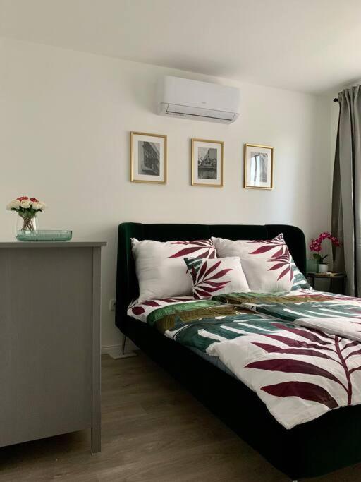 Sicomoro Casa - Housity