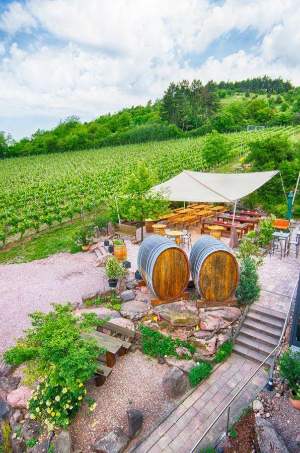 Suitetrails - Die-GUTE-STUBB-das-Superior-Apartment-im-Herrenhaus