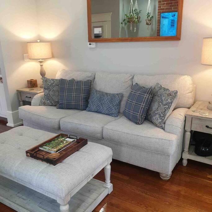 Cozy 1 Bedroom in Olde Town East - Housity