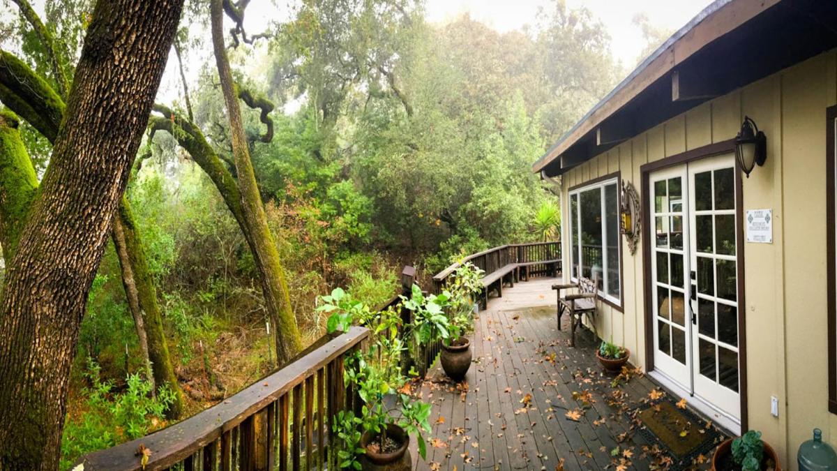 The Oak Haven - a relaxing sanctuary w/spa! - Housity