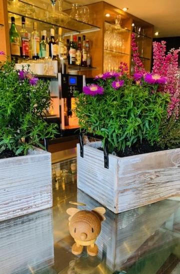 ELTVINUM Hotel I Restaurant I Weinbar - Housity
