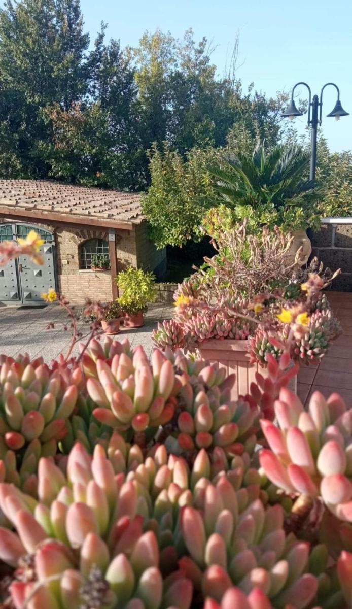 Suitetrails - La Casa Sull'aia,AV