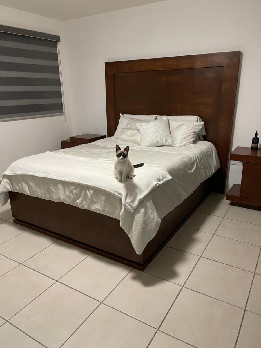 Suitetrails - Casa Luna 2 bedroom Condo 5 min to Border & Beach