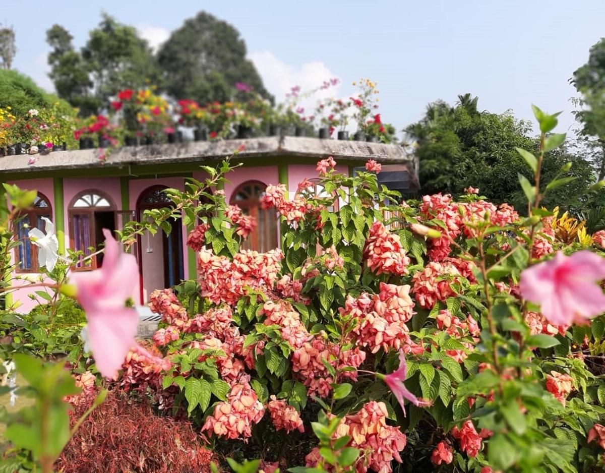 Gopal Chettri Homestay by StayApart - Housity