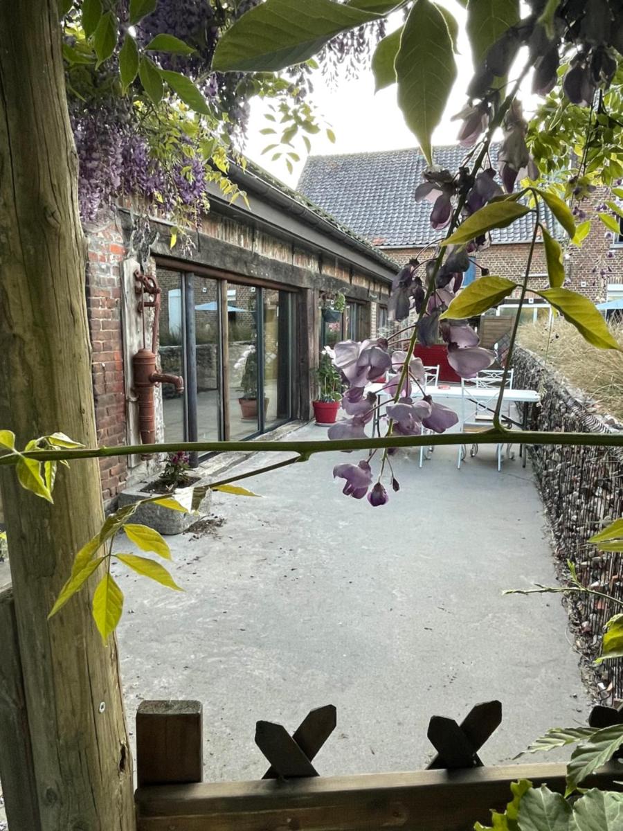 Gite wellness Au champ du bouillon proche de Pairi Daiza et de la ville Ath - Housity