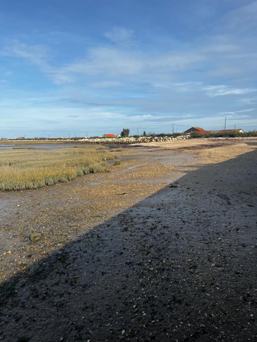 L'étoile de mer - Housity