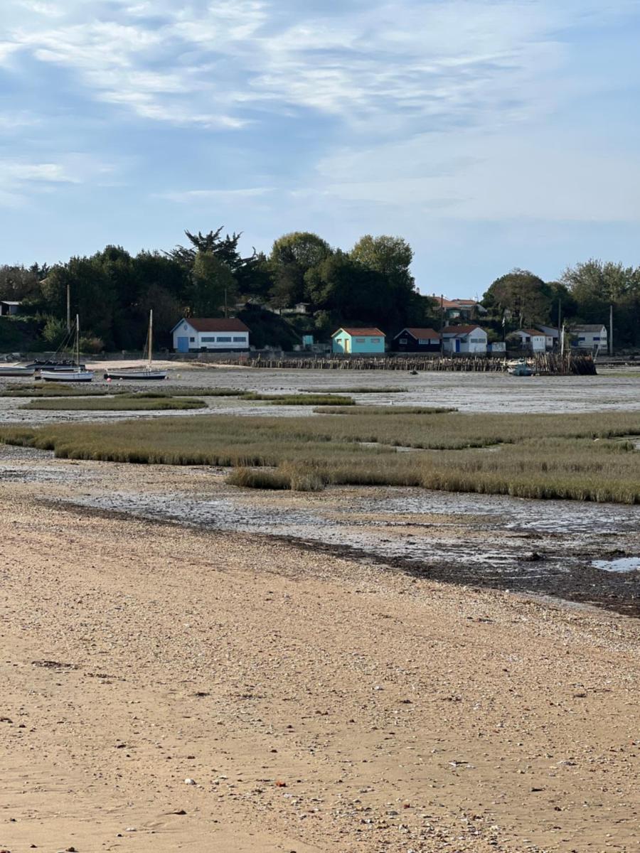 L'étoile de mer - Housity