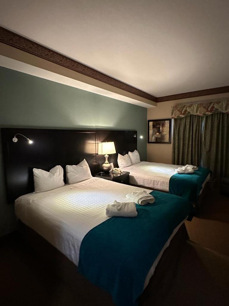 suite close to Disney - Housity