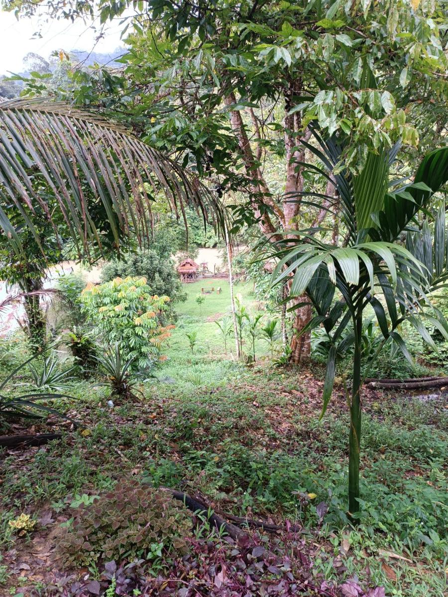 Semila Guest House - Housity