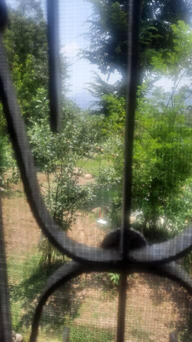 Suitetrails - pine view Homestay