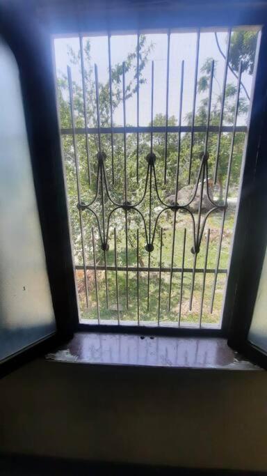Suitetrails - pine view Homestay