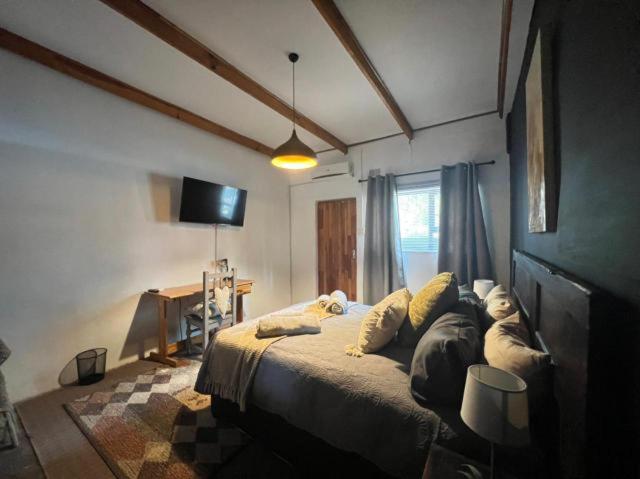 Krulkop - Housity