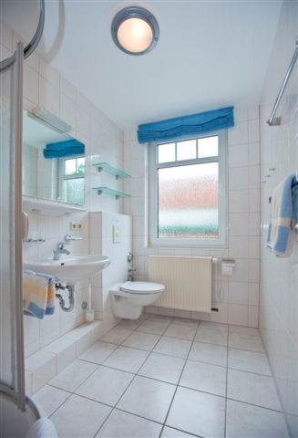 Windrose Windrose 09 - Housity