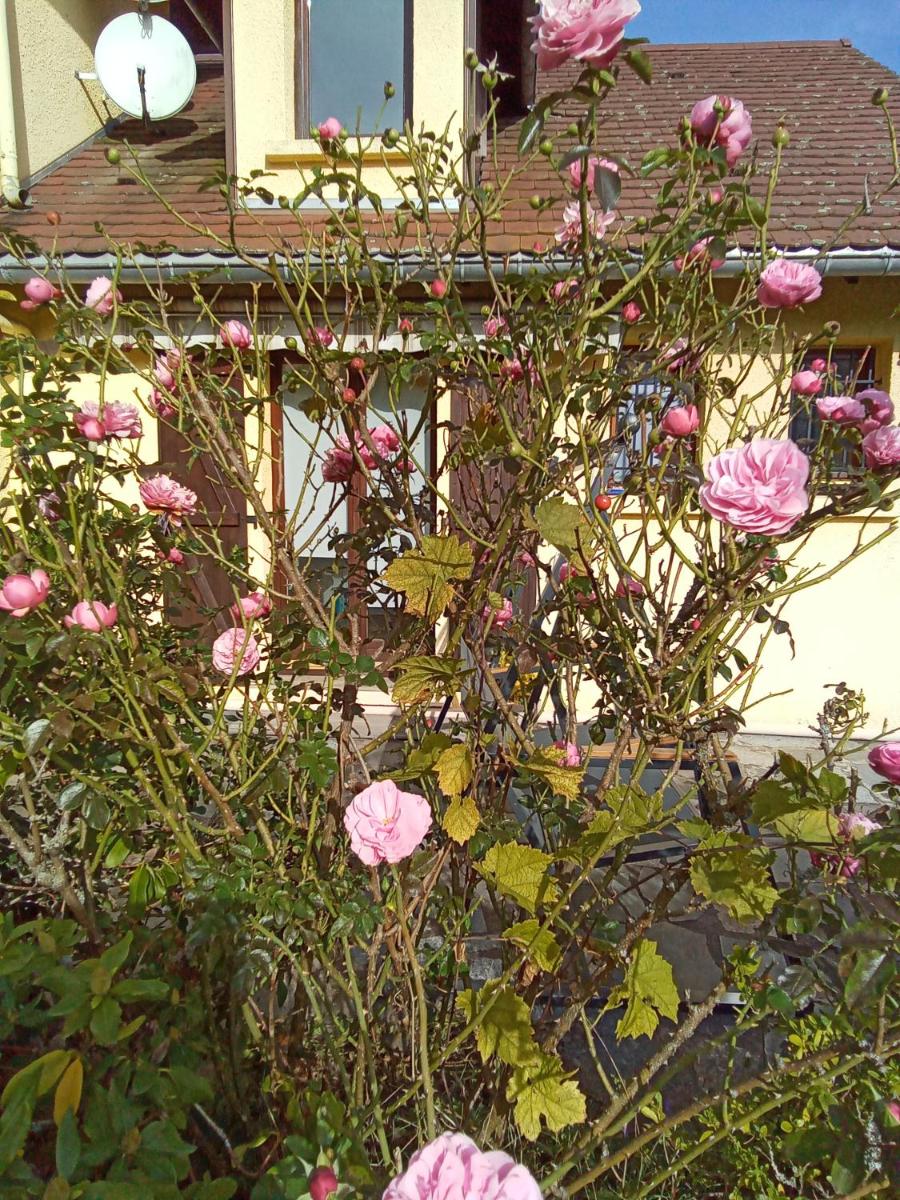 gîte des Hortensias - Housity