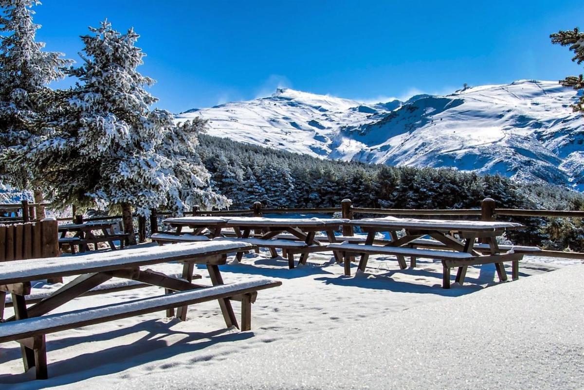 SKI PLAZA SIERRA NEVADA & Zona Baja - Housity