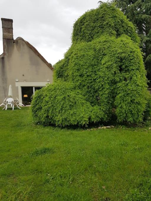 Chaumière avec sa toiture recouverte de chaume !!! - Housity