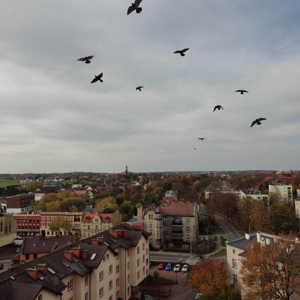 Apartament z widokiem na miasto - Housity