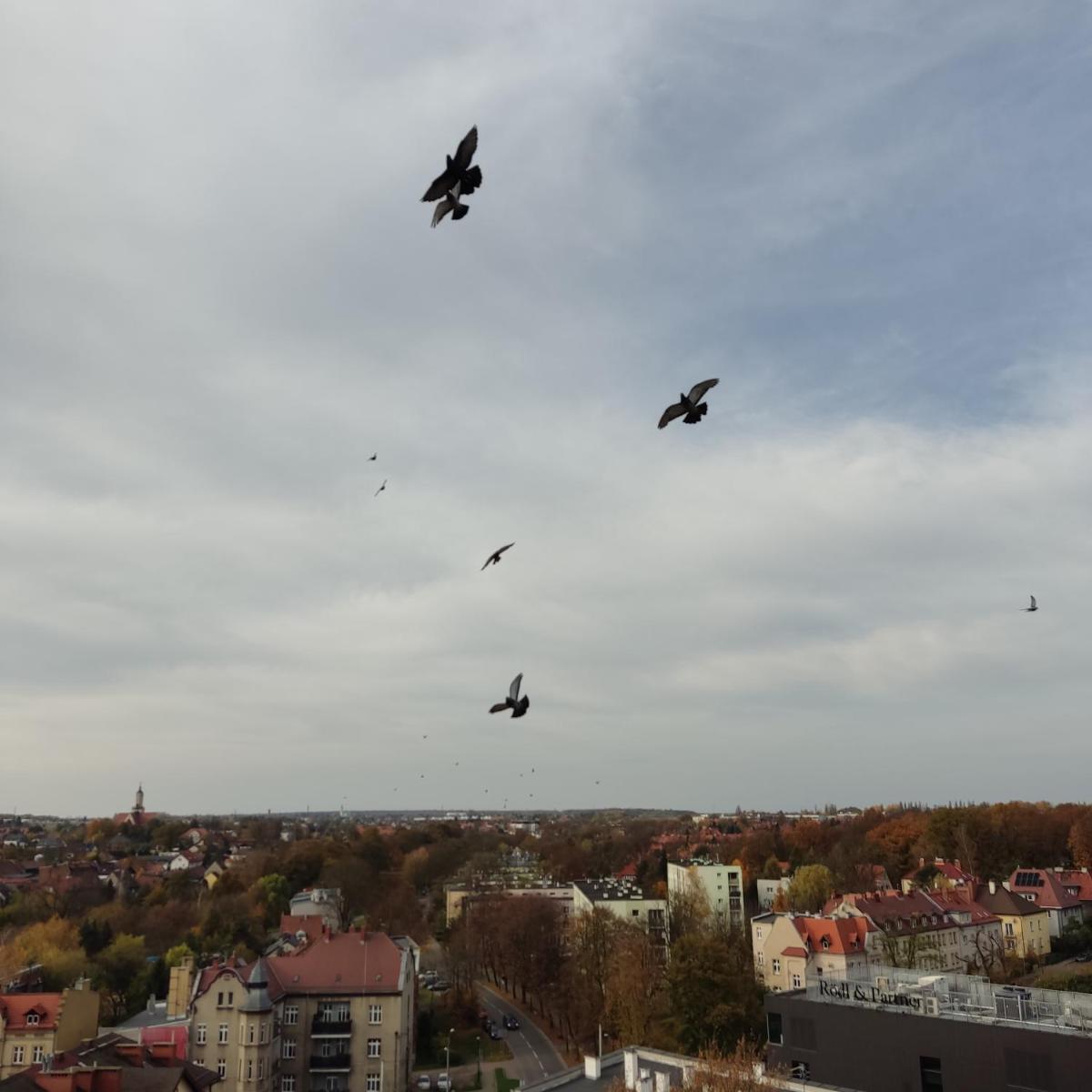 Apartament z widokiem na miasto - Housity