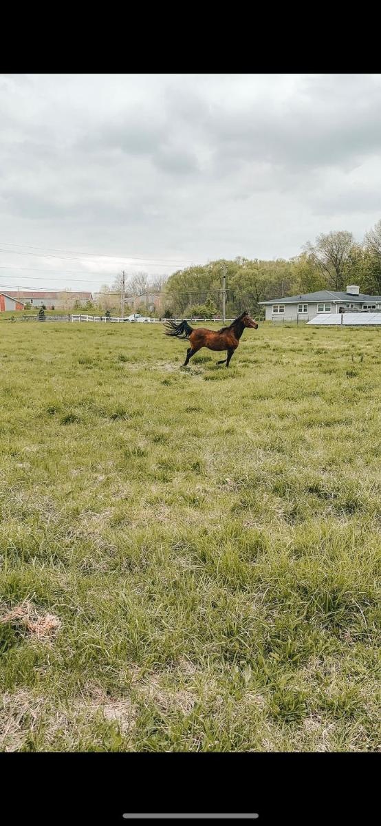 Retro Ranch - Housity
