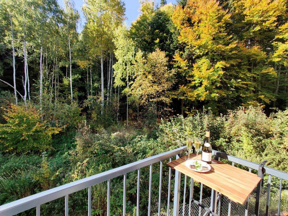 Apartment GRUN WALD Marianske Lazne - Housity