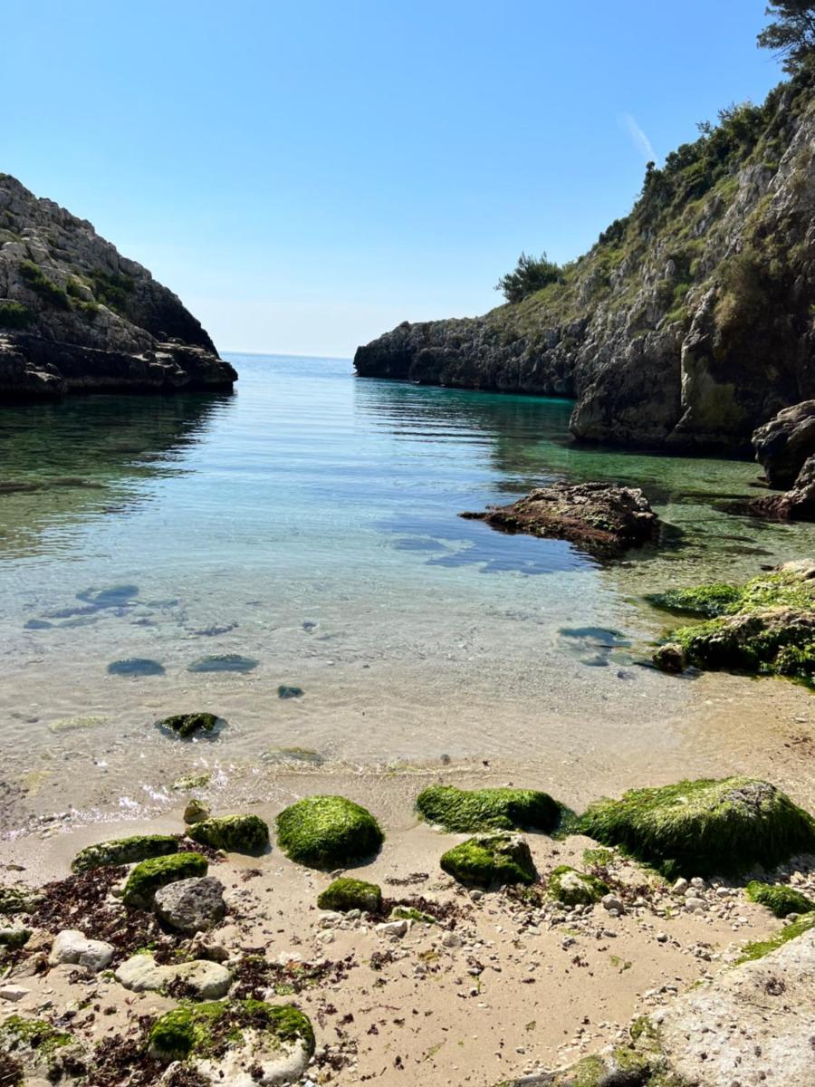 La Cala on Acquaviva - Housity