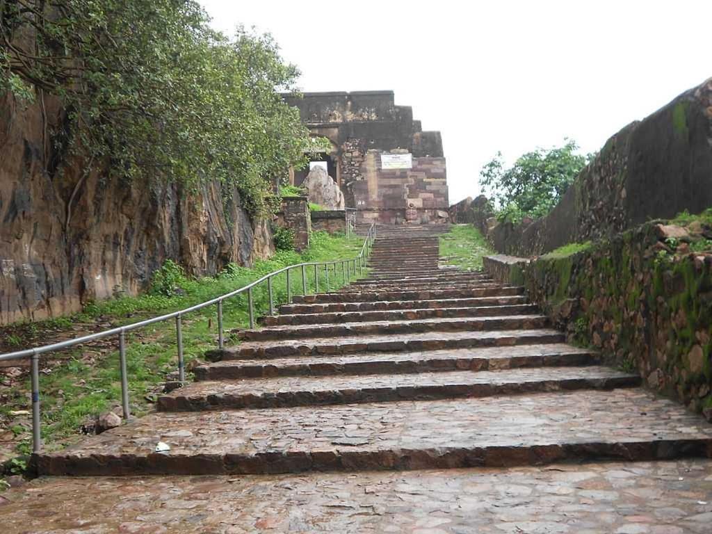Ranthambhore Safari Booking - Housity