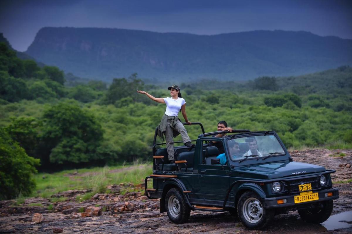 Ranthambhore Safari Booking - Housity