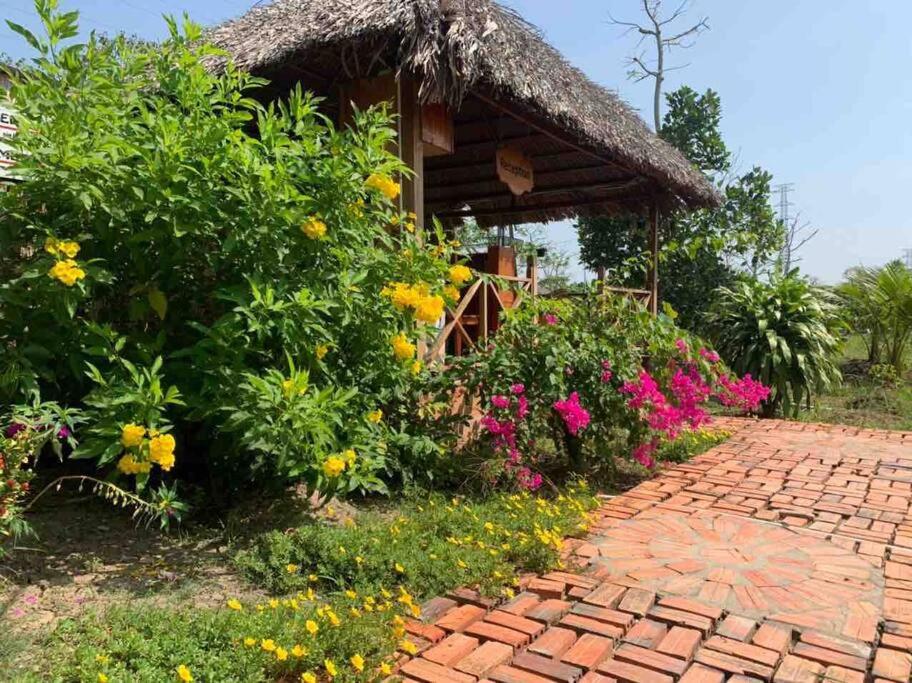 Mekong Cozy Travel Breakfast DinnerTwoBoatTours Included for 2nights - Housity