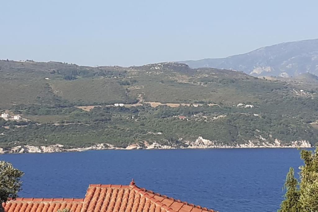 The Kalivi - Housity