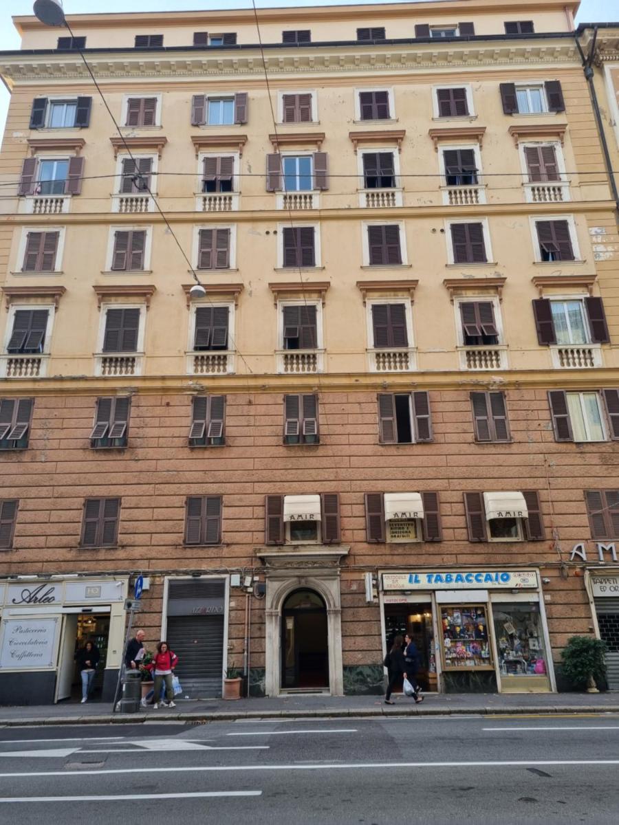 La casa dei girasoli - Housity