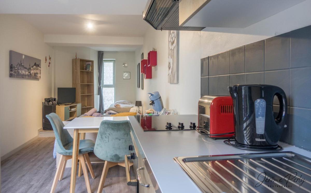 Petit studio hypercentre d'Orléans avec jardin - Housity