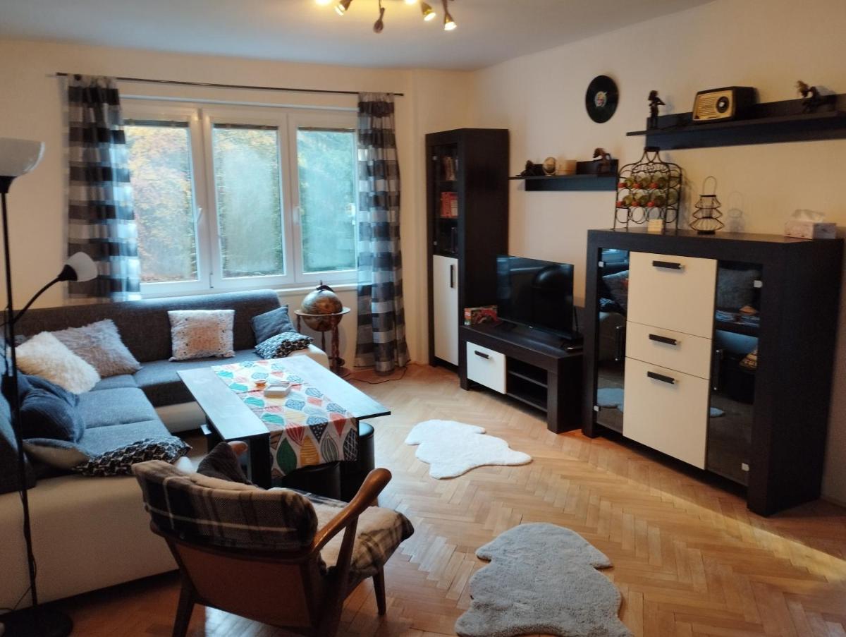 Apartmán 3+1 s krbem a zahrádkou na úpatí Krušných hor - Housity