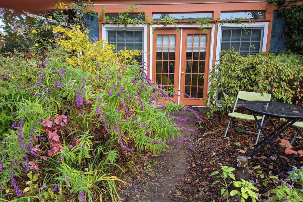 Cottage at Mulberry - Housity