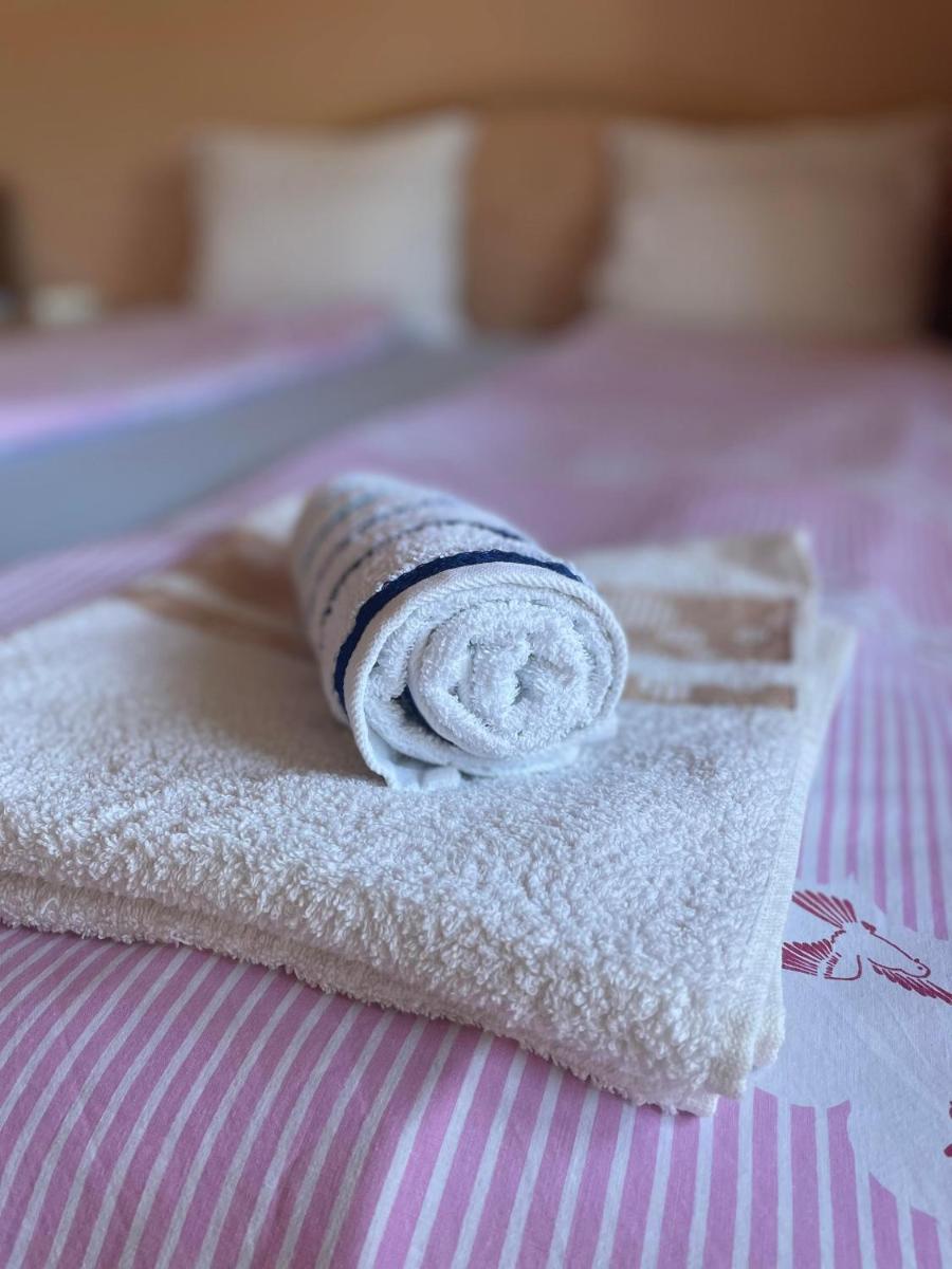 Apartment Lazar & Marco - Housity