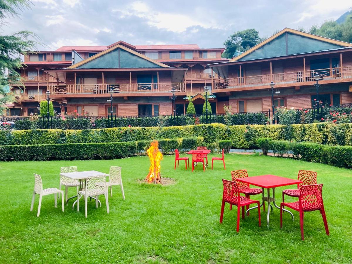 Daffodil Himalayan Honk, Manali - Housity