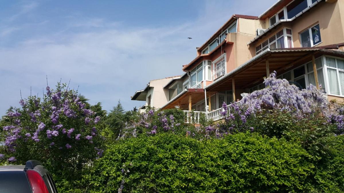 Fyl llyjr villa for rent - Housity