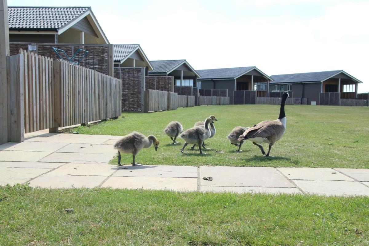 Waterside Lodges Cambridge - Housity