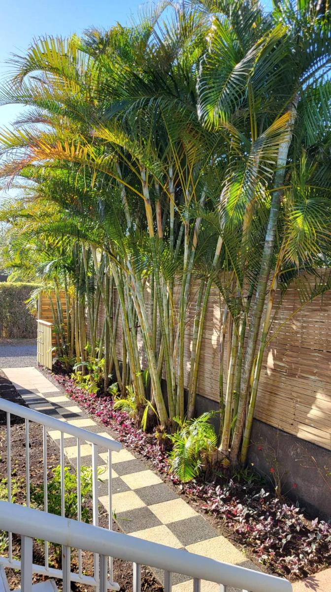 Villa Creole alamanda 2 - Housity