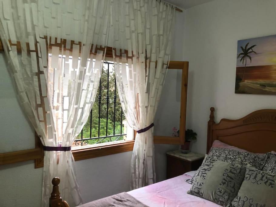 Finca Grace - Housity