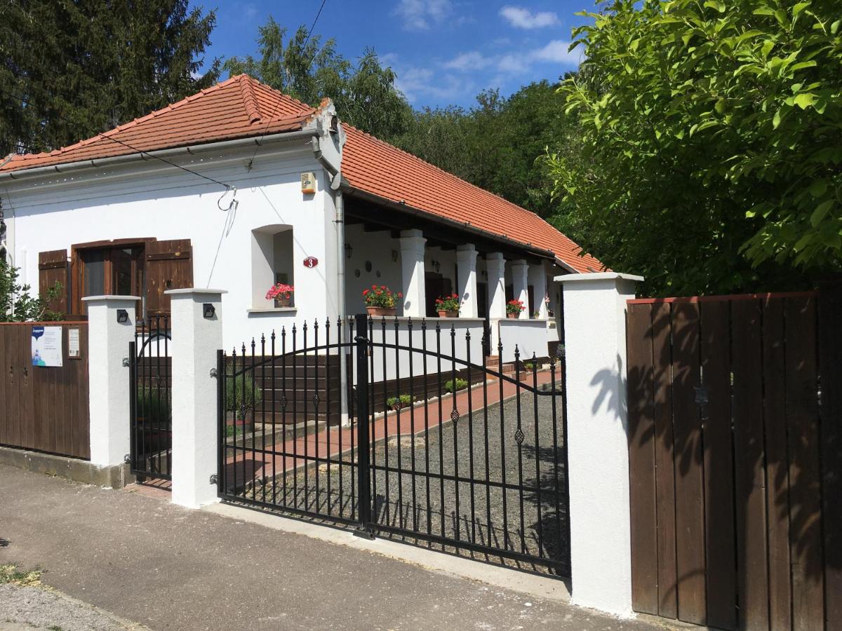 Bodza Vendégház - Apartmanház - Housity