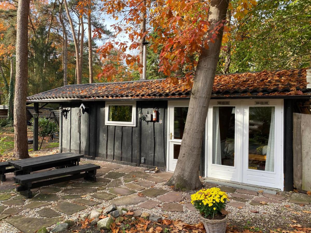 Boshuisje B&B - Housity