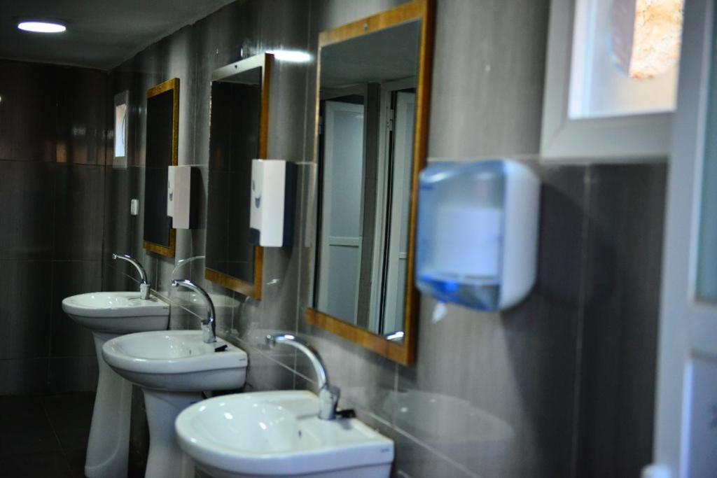 Petra Spirit Camp - Housity