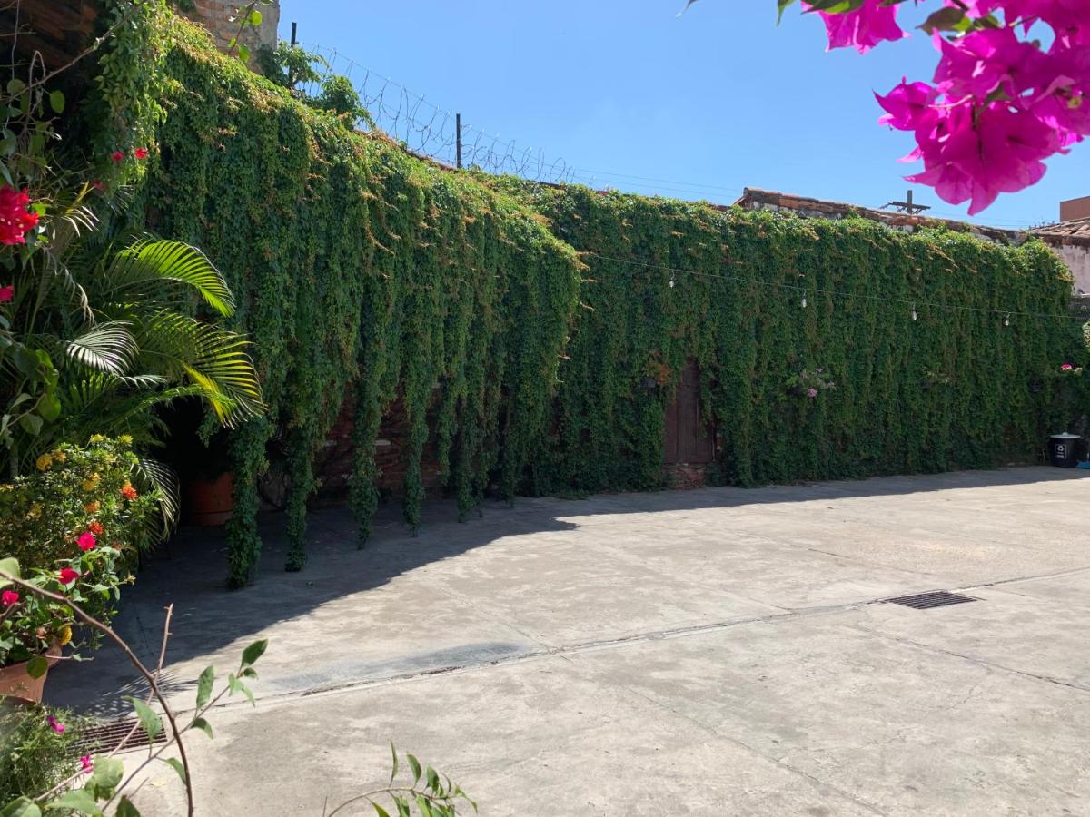 Hostal Villa Blanca - Housity