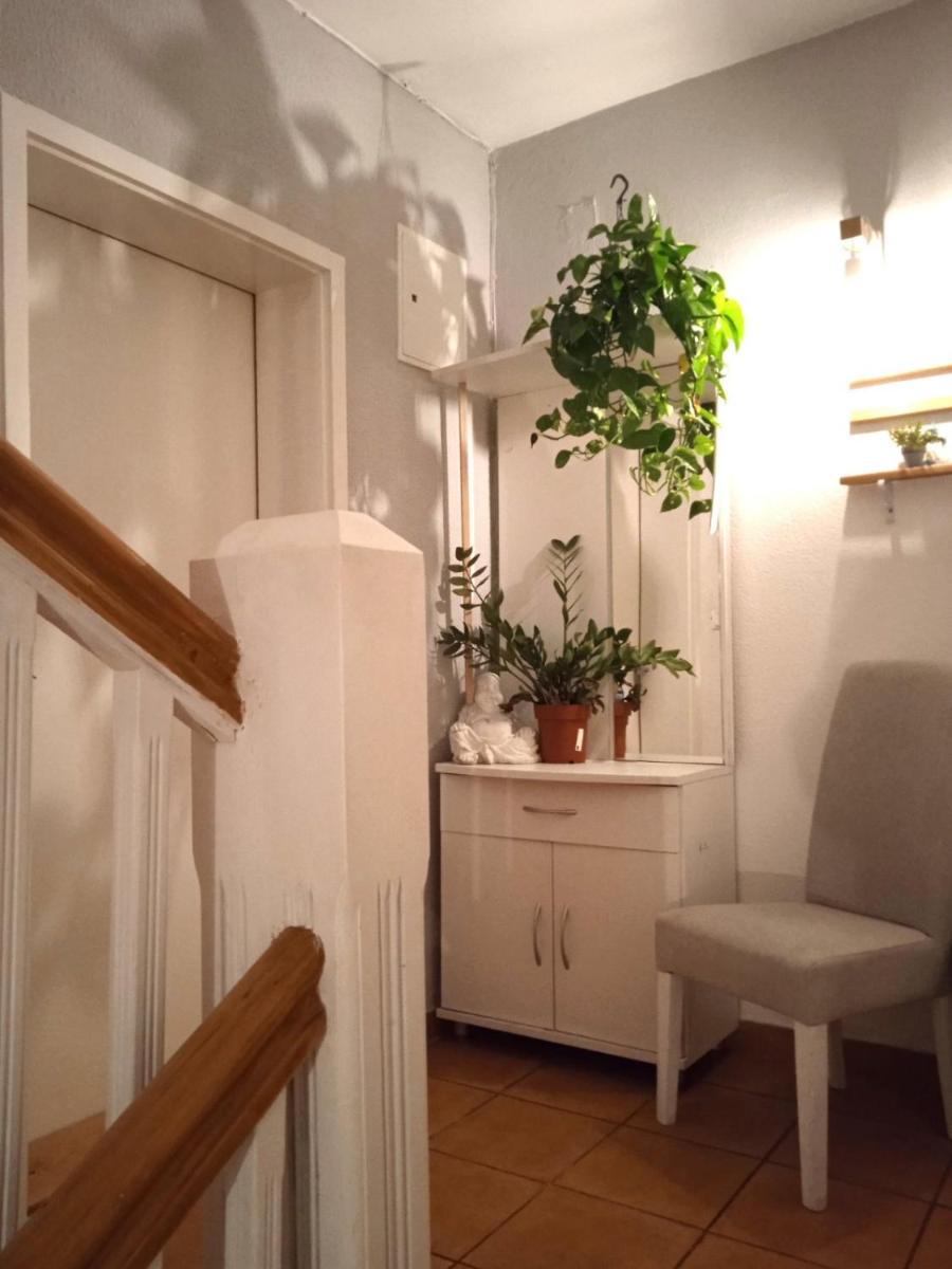 Villa Monera Apartments & Rooms & Free Garage - Housity